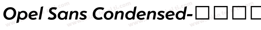 Opel Sans Condensed字体转换